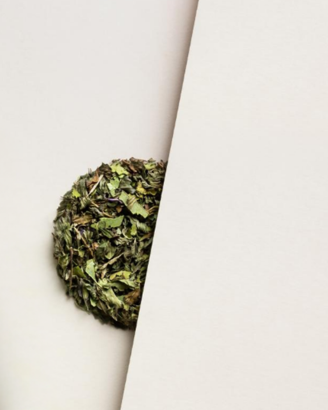 Native Mint Tube