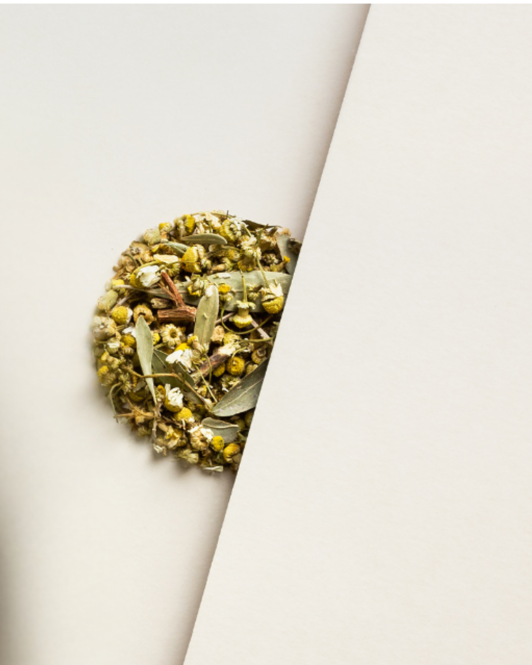 Kakadu Dreaming Tube